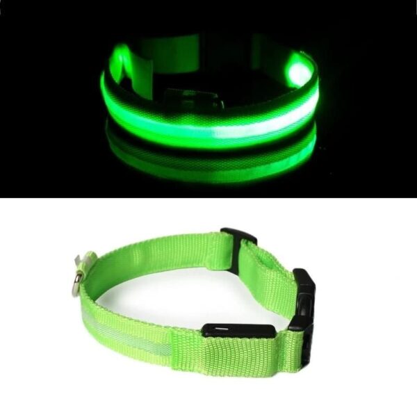 Premium LED Pet Collar - Image 4