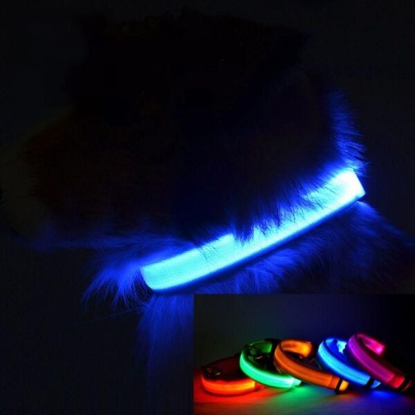 Premium LED Pet Collar - Image 2