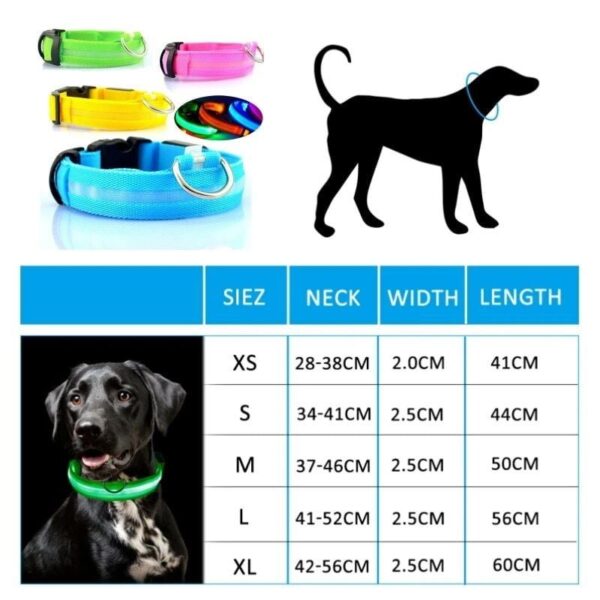 Premium LED Pet Collar - Image 9