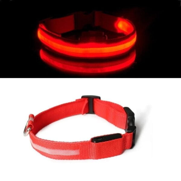 Premium LED Pet Collar - Image 8