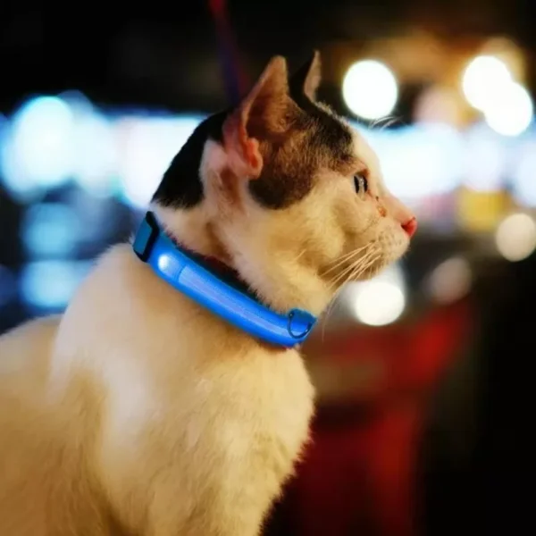 Premium LED Pet Collar - Image 3