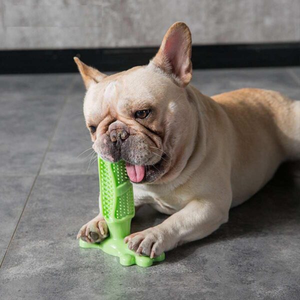 Chewable Toothbrush - Image 2