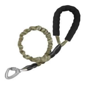 a dog leash