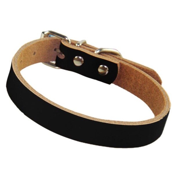 Luxurious Rolled Leather Dog Collar with Metal Accents - Image 3