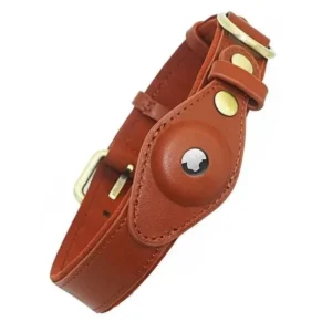 a leather collar