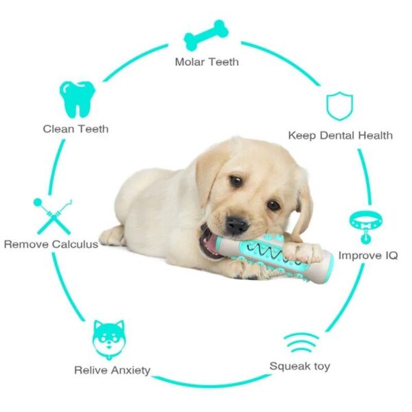 "Chew & Clean" Dog Toothbrush Toy - Dental Health Chew for Puppies and Dogs - Image 7