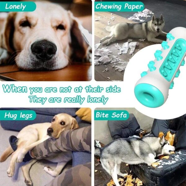 "Chew & Clean" Dog Toothbrush Toy - Dental Health Chew for Puppies and Dogs - Image 3