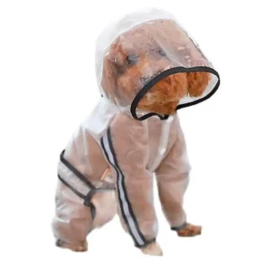a dog raincoat