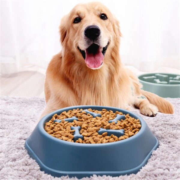 Choke-Proof Non-Slip Slow Feeder Bowl for Small Dogs and Cats - Image 3