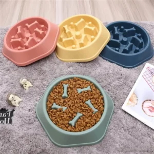 a slow feeder bowl