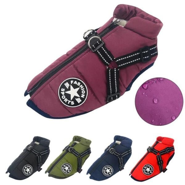 Premium Dog Jacket - Image 5