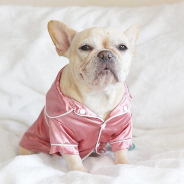 Luxury Pet Dog Pajamas - Image 3