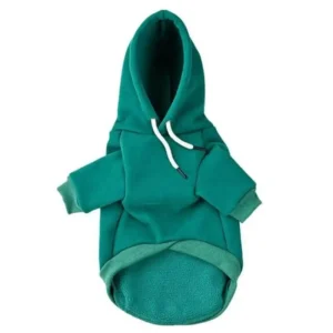 a green hoodie