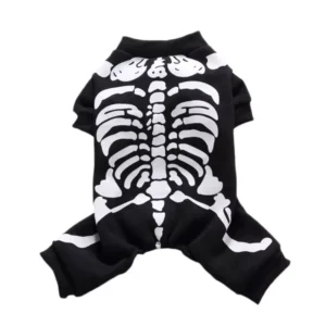 a skeleton costume