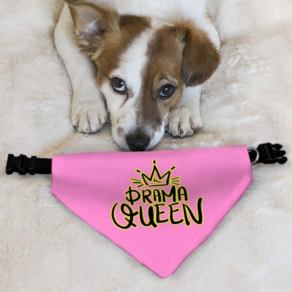 Drama Queen Pet Bandana Collar - Funny Scarf Collar - Themed Dog Bandana - Image 6