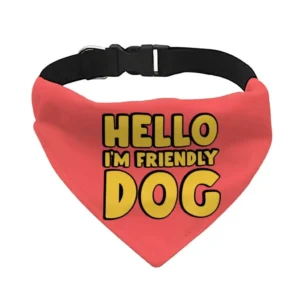 a red pet bandana collar