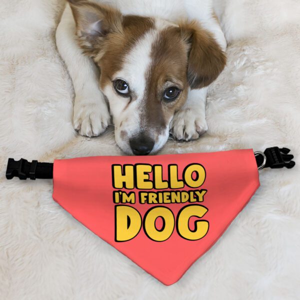 I'm Friendly Dog Pet Bandana Collar - Themed Scarf Collar - Cute Dog Bandana - Image 6