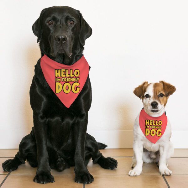 I'm Friendly Dog Pet Bandana Collar - Themed Scarf Collar - Cute Dog Bandana - Image 5