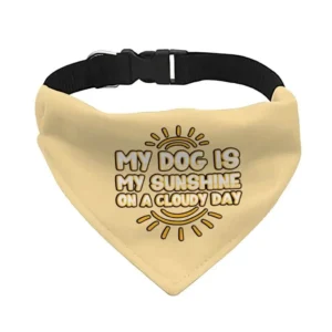 a beige pet bandana collar