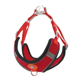 a red dogog harness