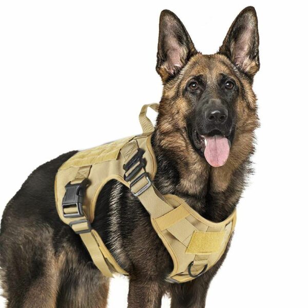 Tactical Dog Harness Vest for All Breeds - Image 3