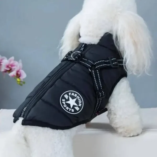 Premium Dog Jacket