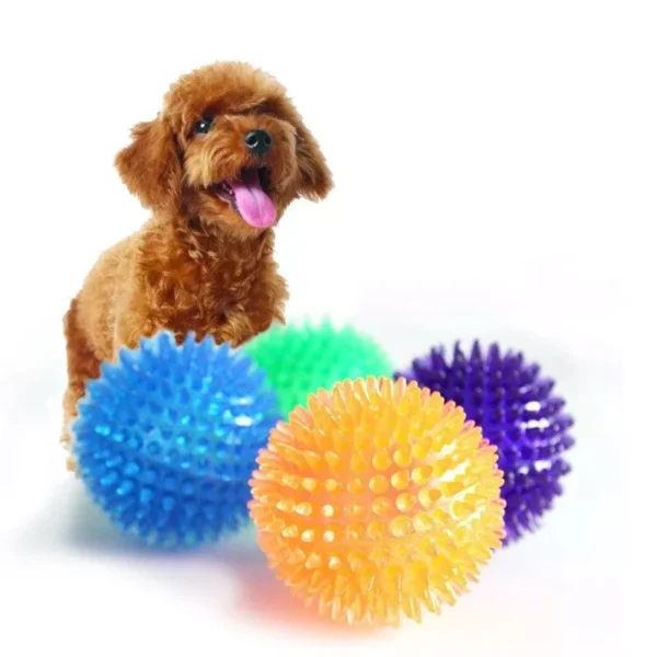 Colorful Squeaky Dog Ball for Dental Health and Interactive Play - Image 4