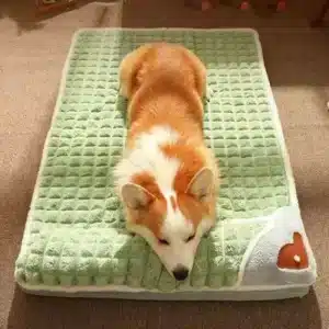 a green pet bed with dog