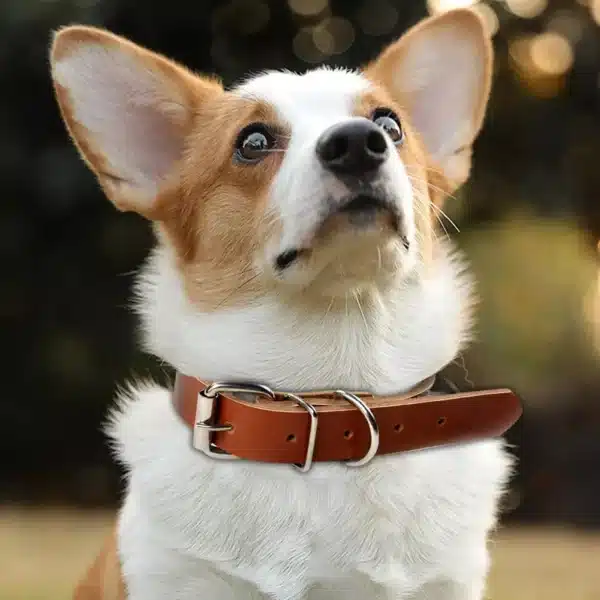 Adjustable Rolled Leather Dog Collar with Metal Buckle - Image 6