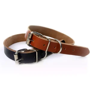 a leather collar with metal fittings