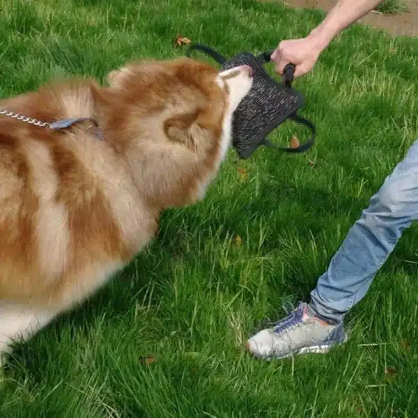 Heavy-Duty Dog Training Bite Tug - Cowhide Chew Toy with Dual Rope Handles - Image 3