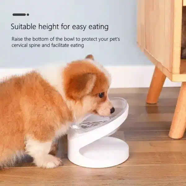 Elevated Non-Slip Cat & Small Dog Feeder Bowl - Image 5