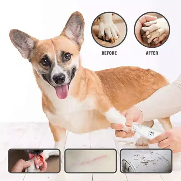Electric Pet Nail Grinder for Cats & Dogs - Image 6
