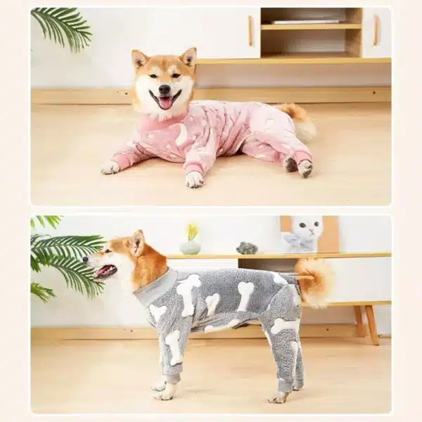 a dog wearing a pajamas