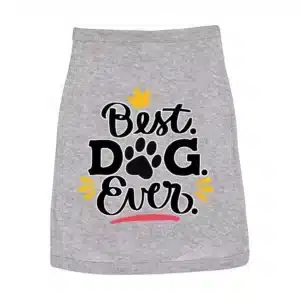 a gray shirt with words on it