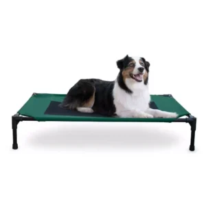 Elevated Breathable Mesh Dog Bed